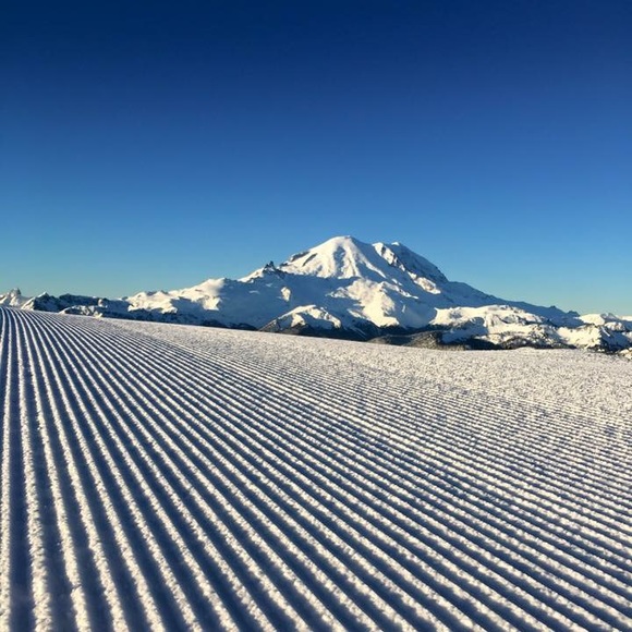 Meet your Posher, Nate - Picture 1 of 1